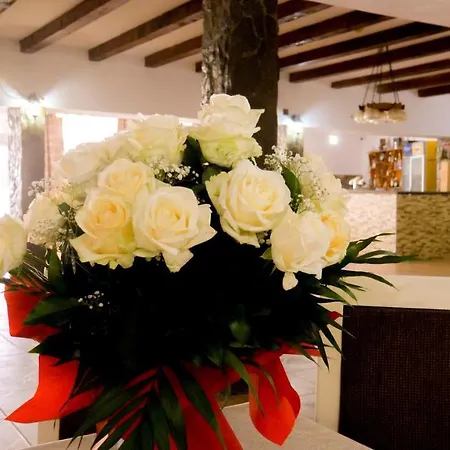 Pensiunea Danubio Guest house